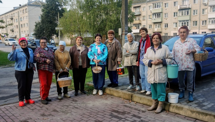После дождика с полными лукошками
