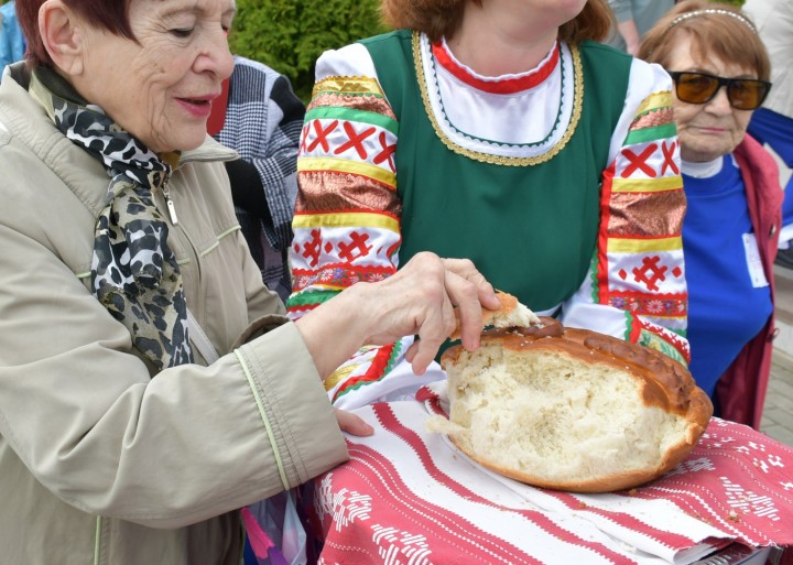 Кружевная Злынка