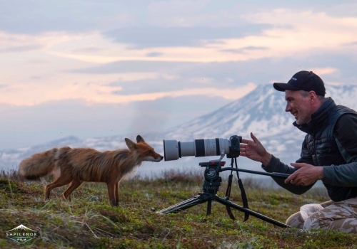 "Огненный лис" вдохновляет юных художников "Огненный лис" вдохновляет юных художников